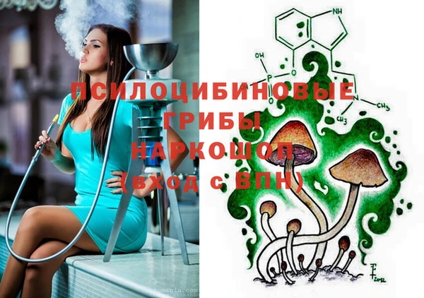 таблы Алзамай